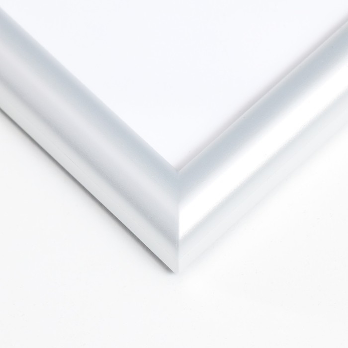 Фоторамка пластик Фоторамка пластик "МИРАМ" 29.7х42 см, (А3) серебро (пластиковый экран)