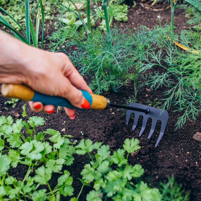 Грабли малые, прямые, 5 зубцов, длина 29 см, металл, деревянная ручка с поролоном, Greengo Грабли малые, прямые, 5 зубцов, длина 29 см, металл, деревянная ручка с поролоном, Greengo