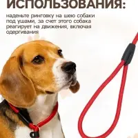 Ринговка для собак, 130&times;1 см, красная