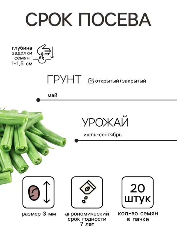 Семена Фасоль овощная &laquo;Малахит&raquo;, 20 шт., &laquo;ПОИСК&raquo;