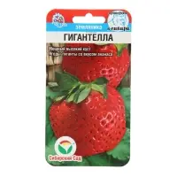 Семена Земляника &laquo;Гигантелла&raquo;, 10 шт., &laquo;Сибирский сад&raquo;