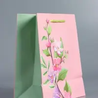 Пакет подарочный "Нежный комплимент" ламинированный 18 х 22,3 х 10 см