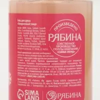 Гель для душа &laquo;Волшебство рядом&raquo;, новогодний набор 4 шт., URAL LAB