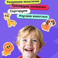Развивающий набор «Изучаем животных»