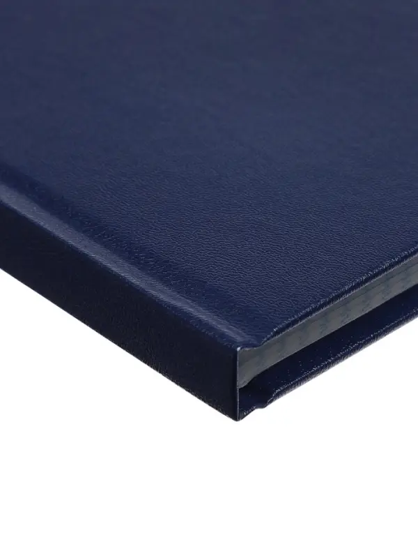 Книга учета А4, 144 листа, клетка, 200&times;290 мм, бумвинил, синий, блок офсетный