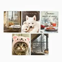 Набор мини-открыток в коробке со скрепками «Котики», 35 штук, 8 x 10 см Набор мини-открыток в коробке со скрепками «Котики», 35 штук, 8 x 10 см