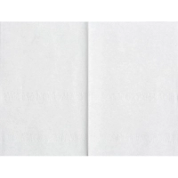 Салфетки бумажные Luscan Professional N4 2сл V слож 200л/уп