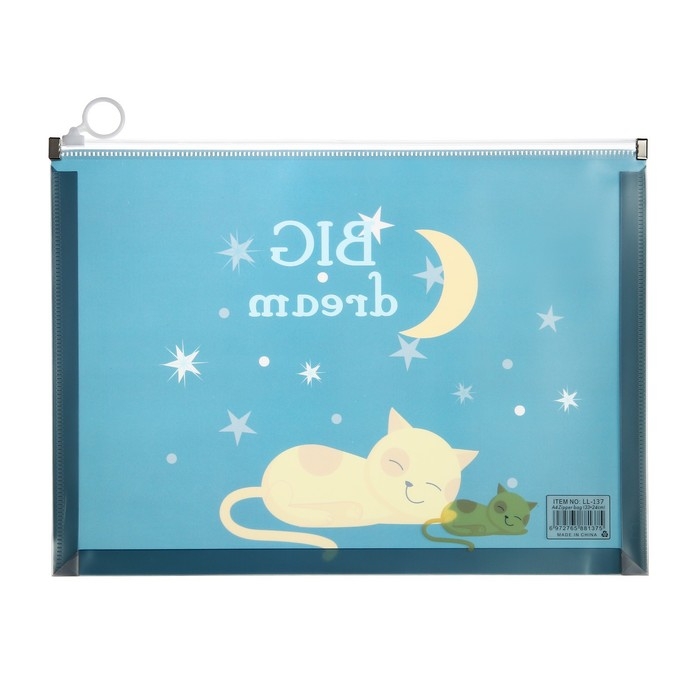 Папка-конверт на молнии формат А4, 180мкр, прозрачная с рисунком Папка-конверт на молнии формат А4, 180мкр, прозрачная с рисунком "Котик", МИКС