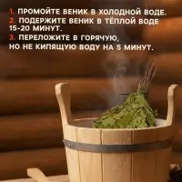 Веник для бани, кленовый, в пакете