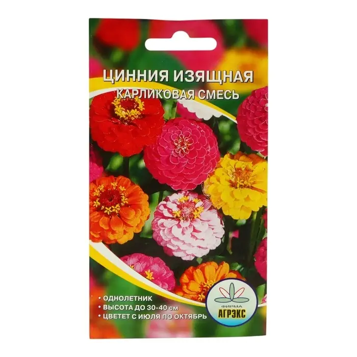 Семена цветов Цинния изящная карликовая смесь, О, 0,2-0,3 г Семена цветов Цинния изящная карликовая смесь, О, 0,2-0,3 г