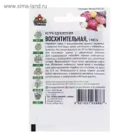 Семена цветов Астра "Восхитительная", ц/п, смесь, О, 0,3 г серия ХИТ х3