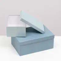 Набор подарочных коробок 10 в 1 &laquo;Барракуда&raquo;, 30.5&times;20&times;13 - 12&times;6.5&times;4 см