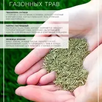 Семена Газонная травосмесь Быстрый газон", 1 кг