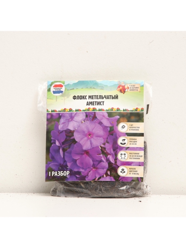 Флокс метельчатый «Аметист», корневище в пакете с торфогрунтом, р-р I, 2 шт.