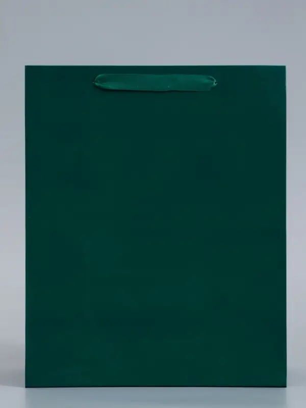 Пакет подарочный ламинированный &laquo;Зелёный&raquo;, 26&times;32&times;12 см