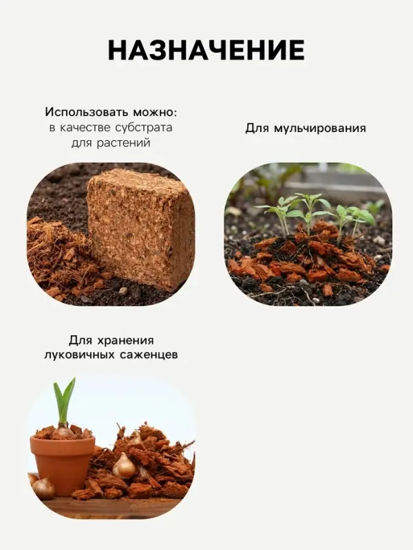 Кокосовые чипсы &laquo;Рецепты Дедушки Никиты&raquo;, 10 л