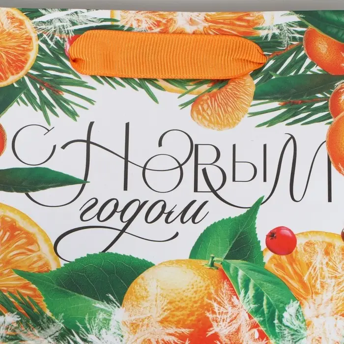Пакет подарочный новогодний ламинированный &laquo;Новогоднее настроение&raquo;, S 15 х 12 х 5.5 см