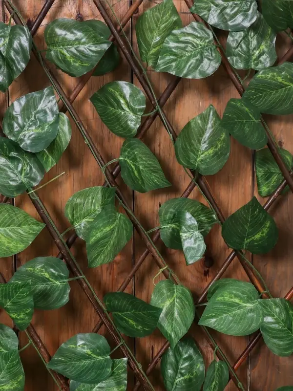 Ограждение декоративное &laquo;Лист берёзы&raquo;, 120&times;40 см, Greengo