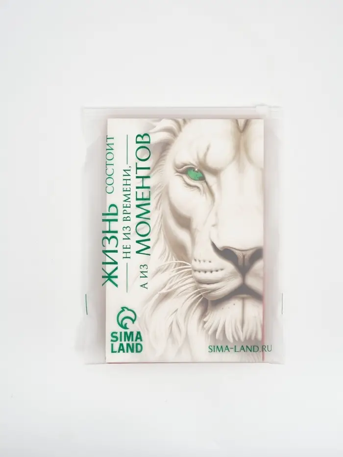 Пакет подарочный «Новогодний подарок», с носком для подарков, 18 × 23 × 11 см Пакет подарочный «Новогодний подарок», с носком для подарков, 18 × 23 × 11 см