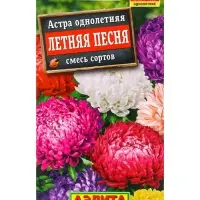 Семена цветов Астра Летняя песня, смесь сортов , Ц/П,0,2 г Семена цветов Астра Летняя песня, смесь сортов , Ц/П,0,2 г