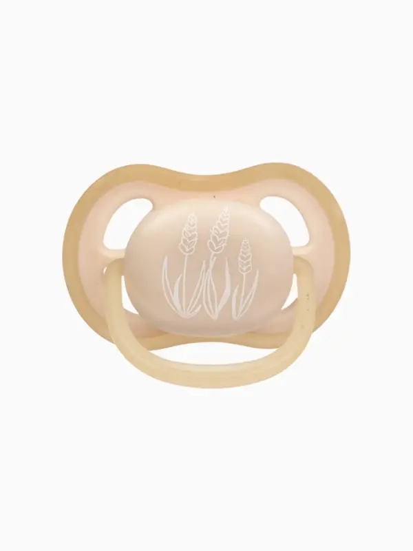 Соска-пустышка светящиеся, набор из 2 шт., силикон, +6 мес., в контейнере «Dream» Соска-пустышка светящиеся, набор из 2 шт., силикон, +6 мес., в контейнере «Dream»