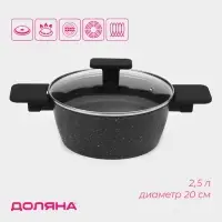 Кастрюля Доляна &laquo;Первый дом&raquo;, 2.5 л, d=20 см, с крышкой, антипригарное покрытие, индукция, алюминий, чёрная