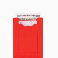Обложка для автодокументов, цвет красный