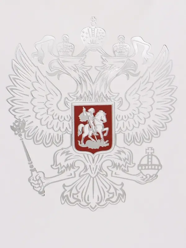 Пакет подарочный &laquo;Россия&raquo;, 25.5&times;30&times;9 см
