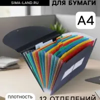 Папка 12 отделений, А4, с цветными разделителями, черная