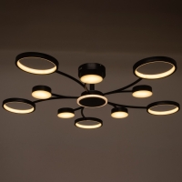 Люстра с ПДУ 2299/11BK LED 216Вт 3000-6000К черный 97х97х18 см BayerLux