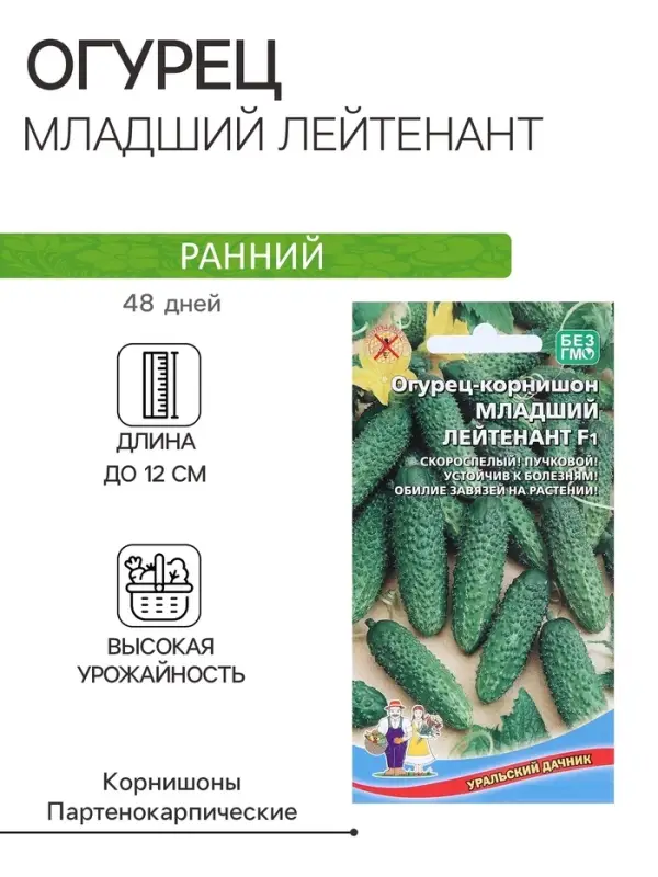 Семена Огурец Младший лейтенант F1 корнишон 10 шт. Семена Огурец Младший лейтенант F1 корнишон 10 шт.