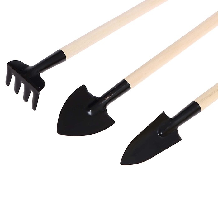 Набор для опытов «Твоя экоферма», 2 в 1 Набор для опытов «Твоя экоферма», 2 в 1