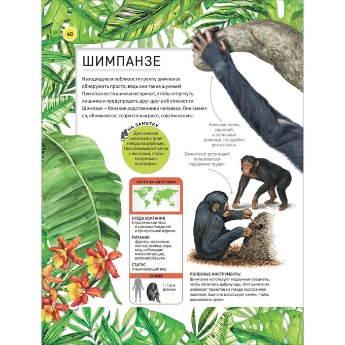 Энциклопедия «Удивительные животные» Энциклопедия «Удивительные животные»