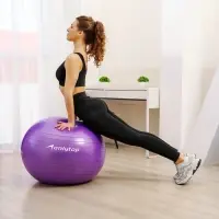 Фитбол ONLYTOP, d=75 см, 1000 г, антивзрыв, фиолетовый
