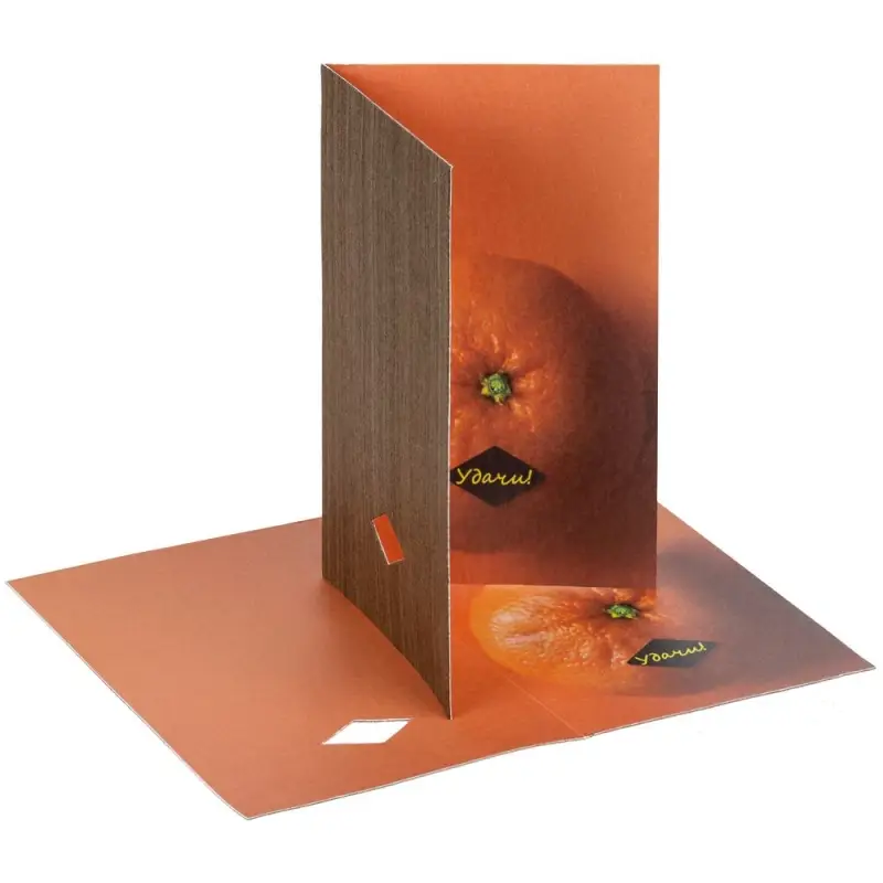 Набор Tangerine Dream, оранжевый Набор Tangerine Dream, оранжевый