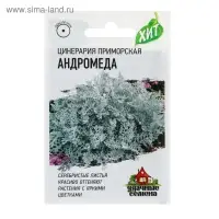 Семена цветов Цинерария приморская &laquo;Андромеда&raquo;, 0.05 г, серия ХИТ х3