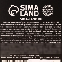 Новый год! Чай в пакетиках «Пульт управления», 21,6 г (12 шт. х 1,8 г).