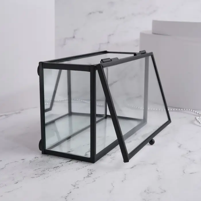 Стеклянная шкатулка для украшений с крышкой, зеркальным основанием, 14.5&times;8.5 см, прозрачная, чёрный каркас