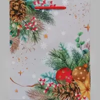 Пакет подарочный &laquo;Новогодние веточки&raquo;, 18&times;10&times;22.3 см