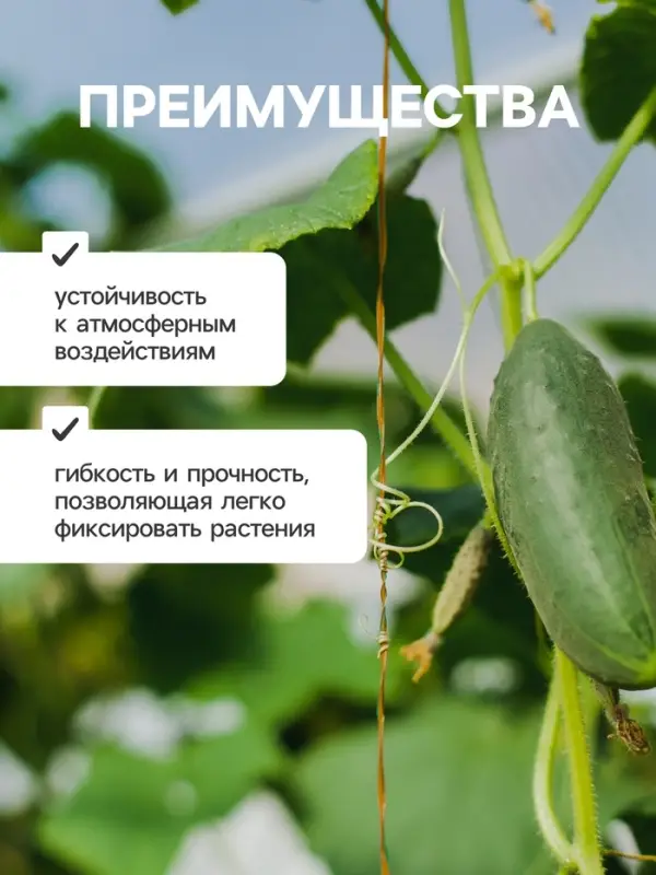 Проволока для подвязки растений, 50 м, металл, биоразлагаемая оболочка, Greengo