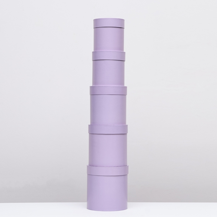 Набор круглых коробок 5в1 Сирень перламутровая Набор круглых коробок 5в1 Сирень перламутровая", 20 × 20 ‒15 × 15 см