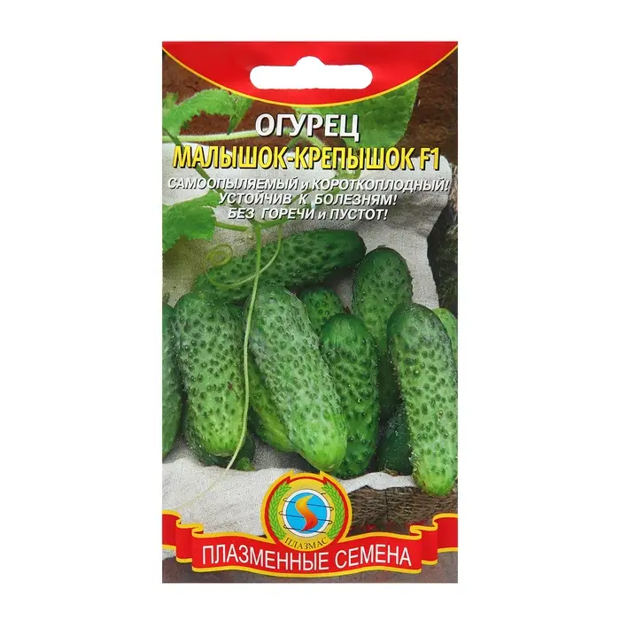Семена Огурец Семена Огурец "Малышок-крепышок", среднеранний, партенокапический, 10 шт