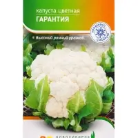 Семена Капуста цветная &laquo;Гарантия&raquo; 0.3 г, &laquo;Агросс&raquo;