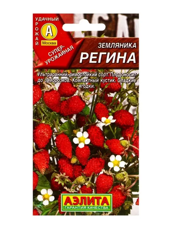 Семена Земляника Регина, Ц/П,0,04 г