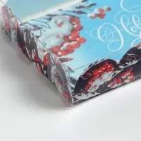 Коробка для кондитерских изделий с пластиковой крышкой «Смородина», 10.5 х 21 х 3 см