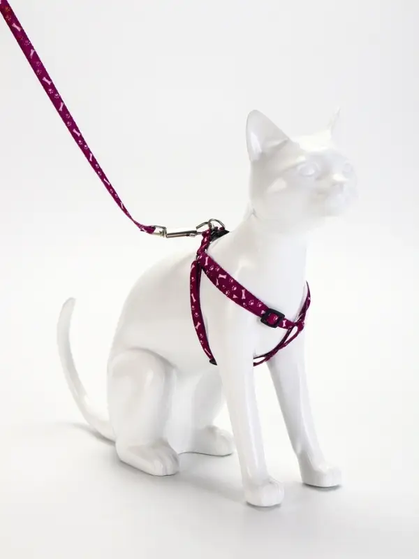 Шлейка с поводком &laquo;Классика&raquo;, ОГ 28-47 см, поводок 120&times;1 см, фиолетовая