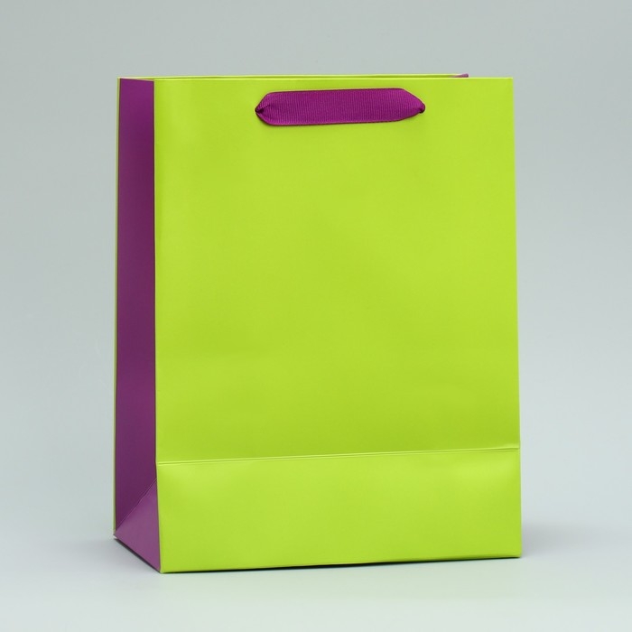 Пакет подарочный двухцветный, упаковка, «Салатовый-сиреневый», MS 18 х 23 х 10 см