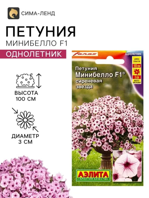 Семена цветов Петуния &laquo;Минибелло&raquo; F1, сиреневая звезда, многоцветковая, 5 шт., Farao, &laquo;АЭЛИТА&raquo;