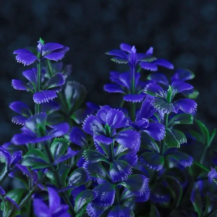 Набор растений для аквариума и террариума - 2 шт., 10 см