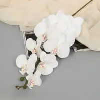 Цветы искусственные &laquo;Орхидея фаленопсис бархатистая&raquo;, 10&times;90 см, белые